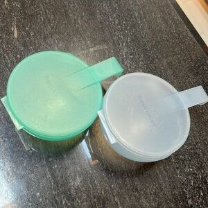 Tupperware Hang in refrigerator Produce Keepers- Green and Blue Set of Two